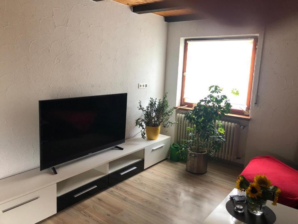Ferienwohnung Zur Sonnenterasse In Gersbach Schopfheim Εξωτερικό φωτογραφία